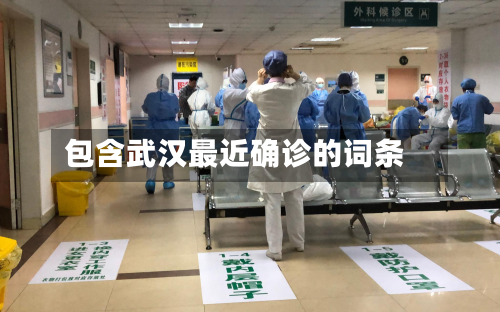 包含武汉最近确诊的词条