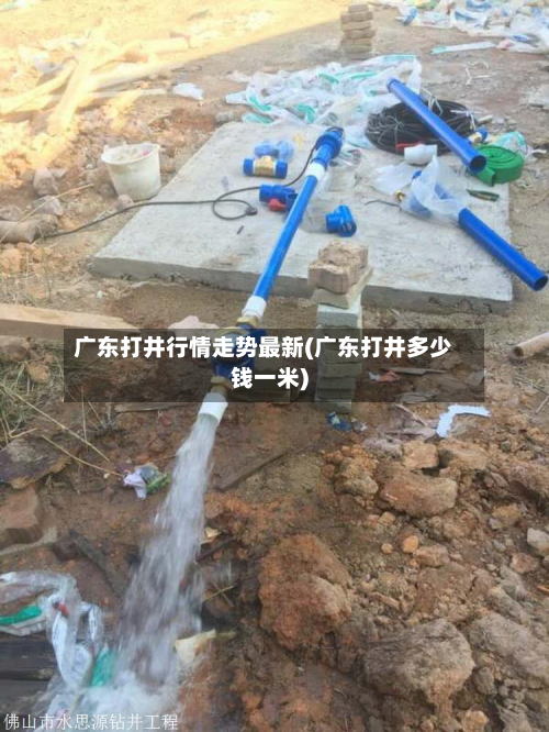广东打井行情走势最新(广东打井多少钱一米)