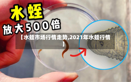 【水蛭市场行情走势,2021年水蛭行情】-第3张图片