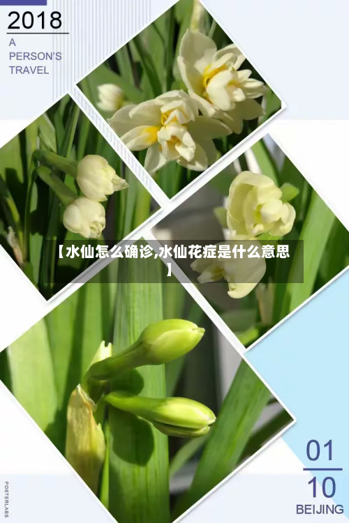 【水仙怎么确诊,水仙花症是什么意思】