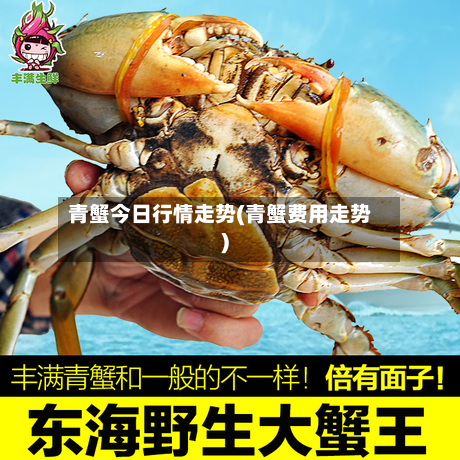青蟹今日行情走势(青蟹费用走势)-第3张图片