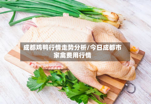 成都鸡鸭行情走势分析/今日成都市家禽费用行情