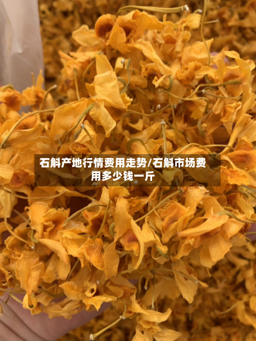 石斛产地行情费用走势/石斛市场费用多少钱一斤