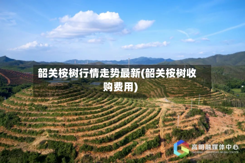 韶关桉树行情走势最新(韶关桉树收购费用)
