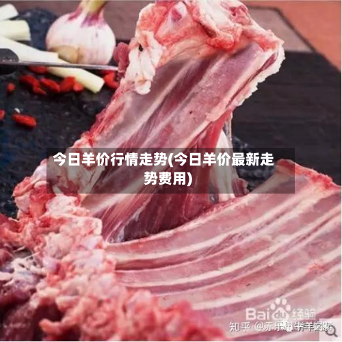 今日羊价行情走势(今日羊价最新走势费用)