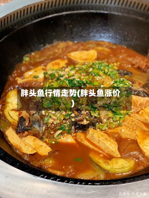 胖头鱼行情走势(胖头鱼涨价)-第2张图片