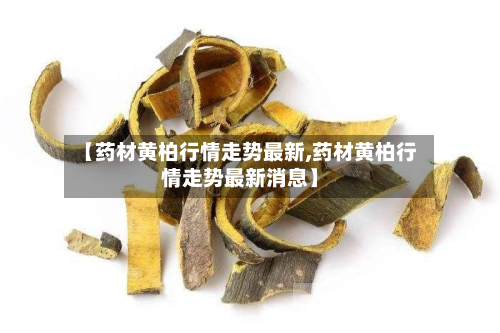 【药材黄柏行情走势最新,药材黄柏行情走势最新消息】-第3张图片