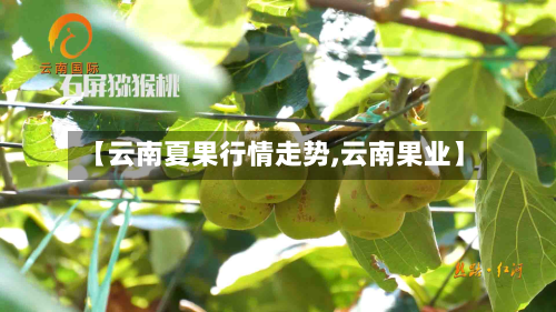 【云南夏果行情走势,云南果业】-第2张图片