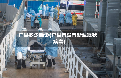 户县多少确诊(户县有没有新型冠状病毒)-第3张图片