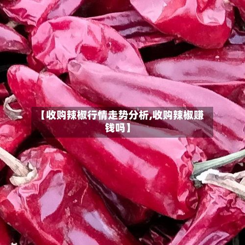 【收购辣椒行情走势分析,收购辣椒赚钱吗】-第2张图片