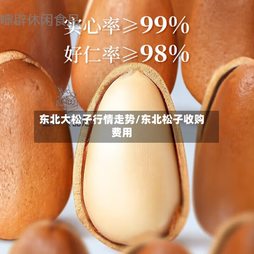 东北大松子行情走势/东北松子收购费用