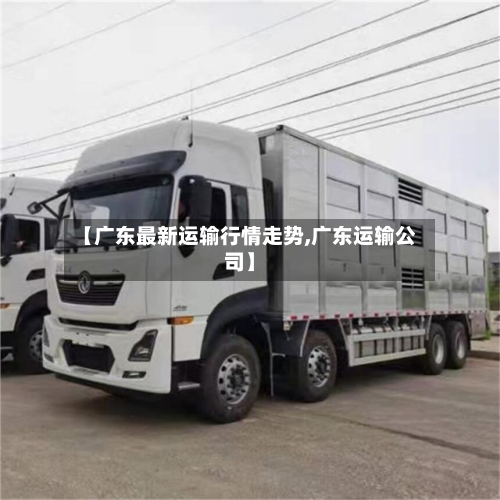 【广东最新运输行情走势,广东运输公司】-第2张图片