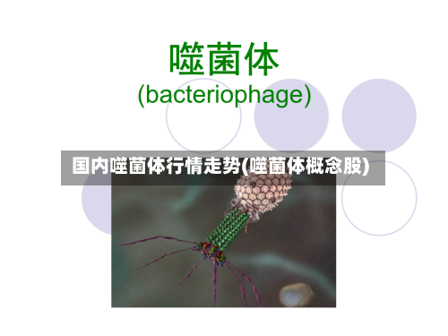 国内噬菌体行情走势(噬菌体概念股)