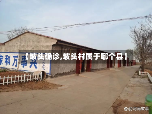 【坡头确诊,坡头村属于哪个县】-第2张图片