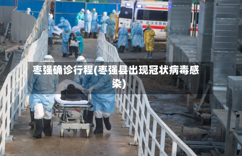 枣强确诊行程(枣强县出现冠状病毒感染)