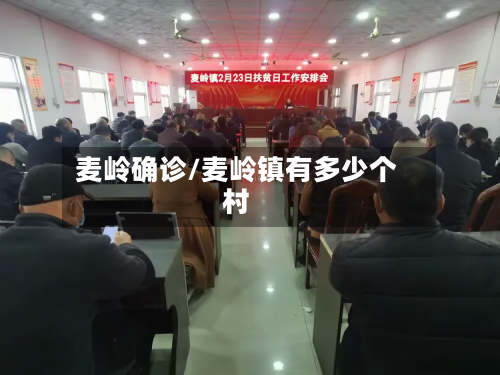 麦岭确诊/麦岭镇有多少个村-第3张图片