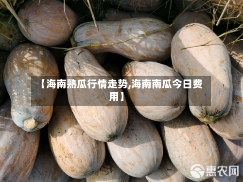 【海南熟瓜行情走势,海南南瓜今日费用】-第3张图片