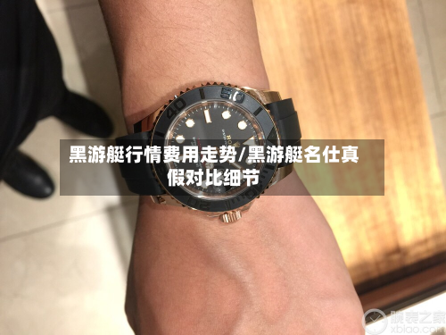 黑游艇行情费用走势/黑游艇名仕真假对比细节