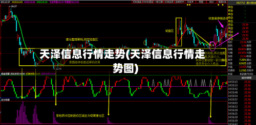 天泽信息行情走势(天泽信息行情走势图)