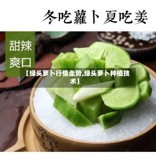 【绿头萝卜行情走势,绿头萝卜种植技术】-第3张图片