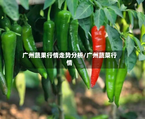 广州蔬果行情走势分析/广州蔬菜行情-第2张图片