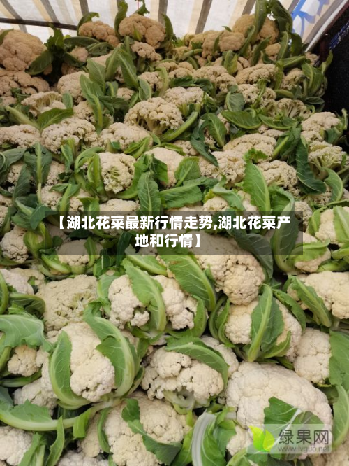 【湖北花菜最新行情走势,湖北花菜产地和行情】-第3张图片