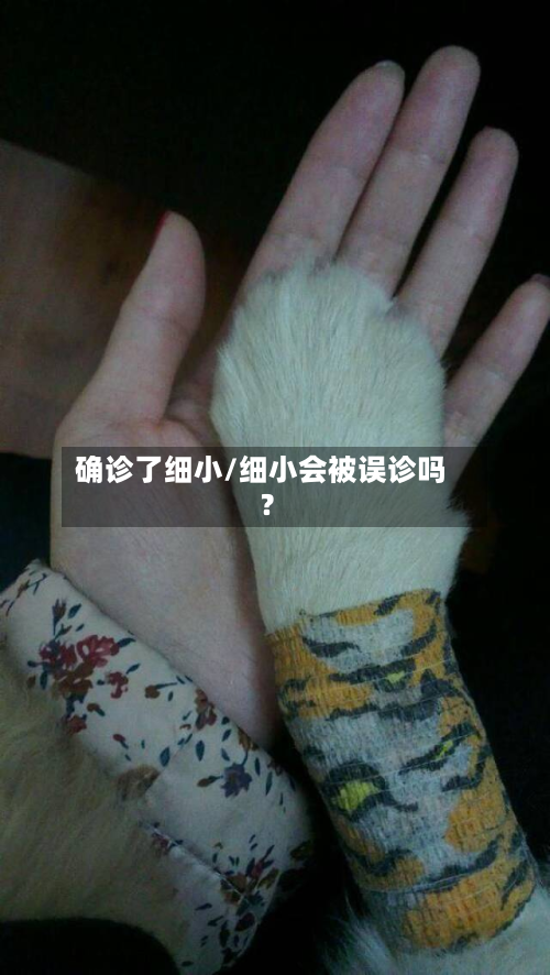 确诊了细小/细小会被误诊吗?-第3张图片