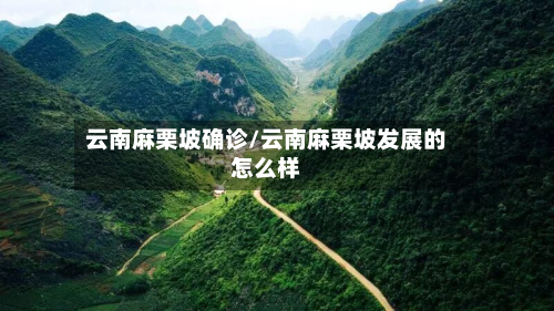 云南麻栗坡确诊/云南麻栗坡发展的怎么样