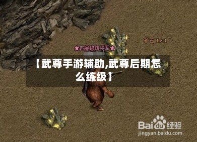 【武尊手游辅助,武尊后期怎么练级】