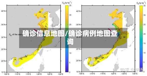 确诊信息地图/确诊病例地图查询