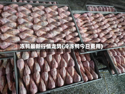 冻鸭最新行情走势(冷冻鸭今日费用)