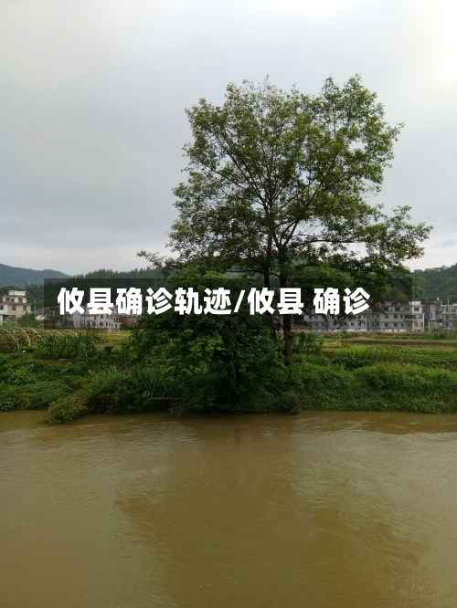 攸县确诊轨迹/攸县 确诊