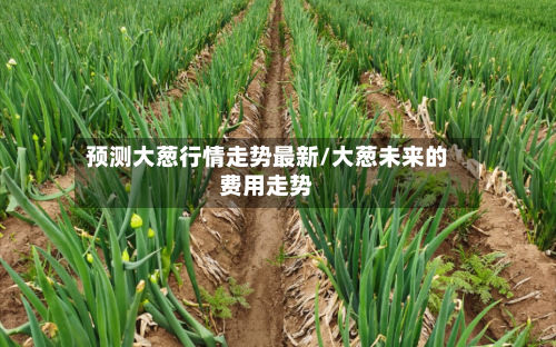 预测大葱行情走势最新/大葱未来的费用走势-第2张图片