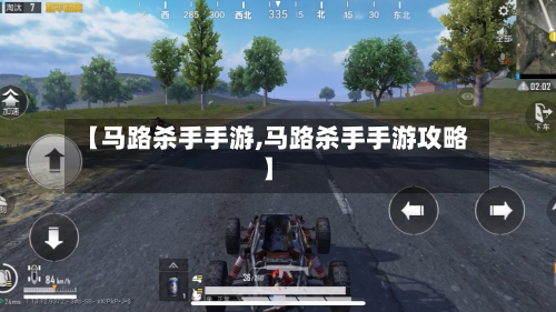 【马路杀手手游,马路杀手手游攻略】