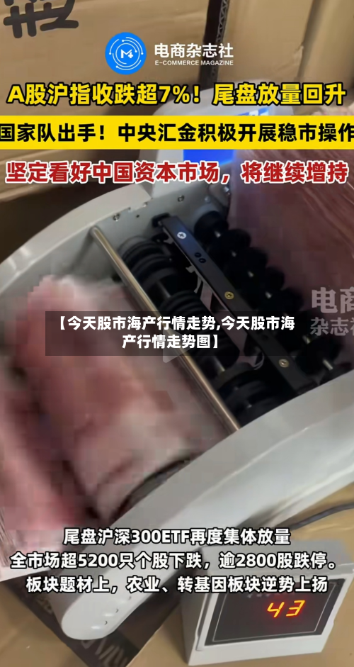 【今天股市海产行情走势,今天股市海产行情走势图】-第2张图片