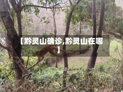 【黔灵山确诊,黔灵山在哪】