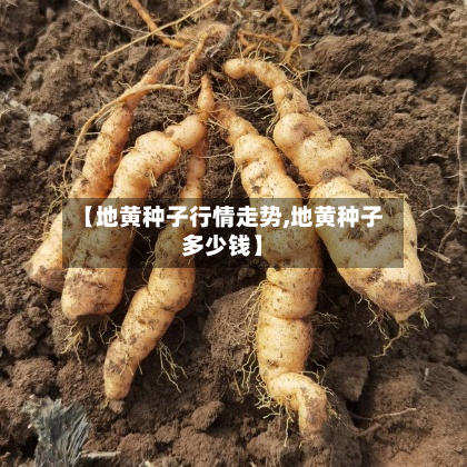 【地黄种子行情走势,地黄种子多少钱】-第2张图片