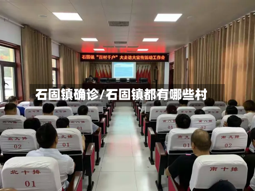 石固镇确诊/石固镇都有哪些村-第3张图片