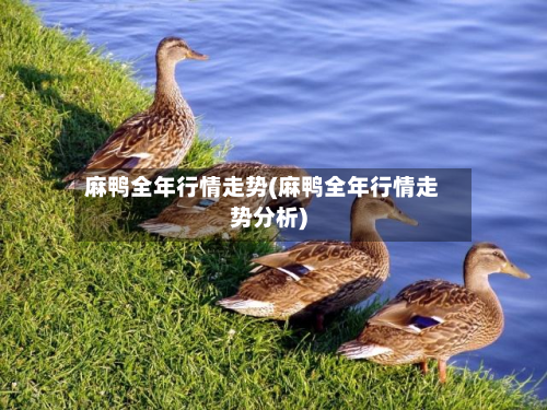 麻鸭全年行情走势(麻鸭全年行情走势分析)-第3张图片