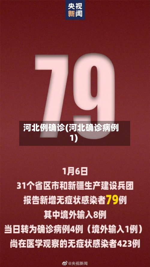 河北例确诊(河北确诊病例1)-第2张图片