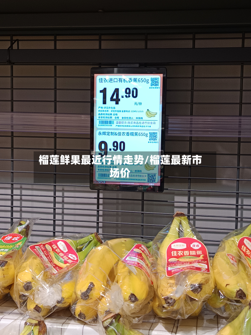 榴莲鲜果最近行情走势/榴莲最新市场价-第2张图片
