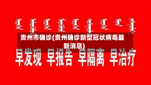 贵州市确诊(贵州确诊新型冠状病毒最新消息)-第3张图片