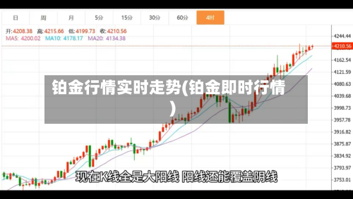 铂金行情实时走势(铂金即时行情)-第2张图片