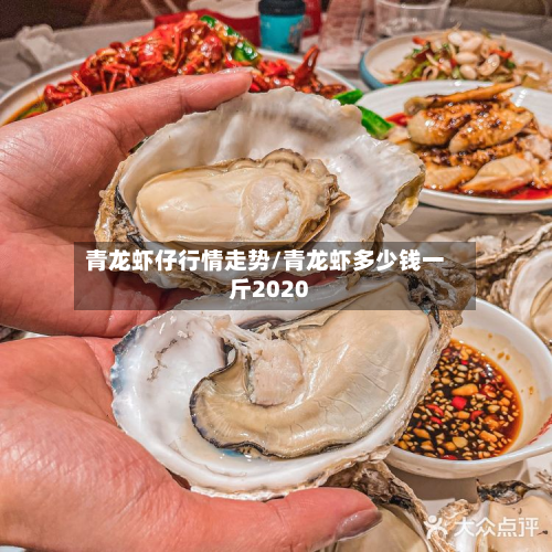 青龙虾仔行情走势/青龙虾多少钱一斤2020