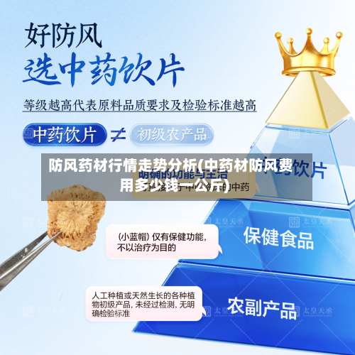 防风药材行情走势分析(中药材防风费用多少钱一公斤)