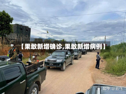 【果敢新增确诊,果敢新增病例】-第2张图片