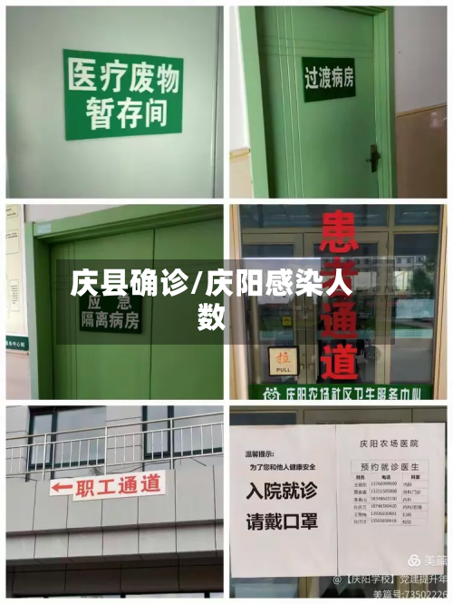 庆县确诊/庆阳感染人数-第1张图片