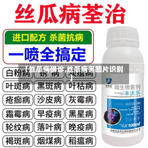 【丝瓜病确诊,丝瓜病害图片识别】-第2张图片