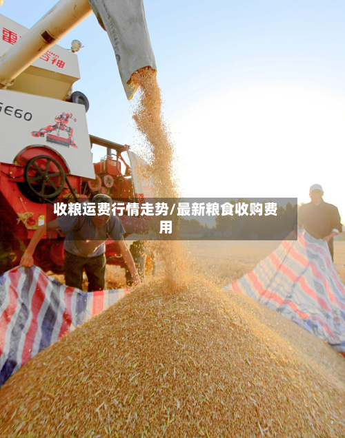 收粮运费行情走势/最新粮食收购费用-第2张图片