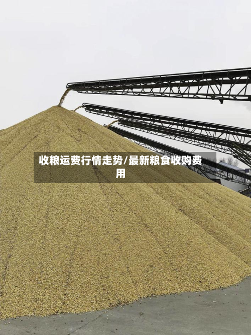 收粮运费行情走势/最新粮食收购费用